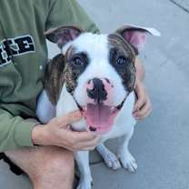 Thumbnail photo of Junior #1