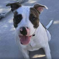 Thumbnail photo of Junior #2