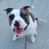 Thumbnail photo of Junior #3