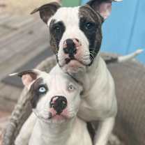 Thumbnail photo of Junior #4