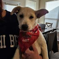 Thumbnail photo of Bunny #1