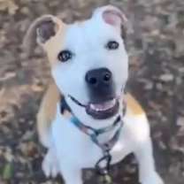 Thumbnail photo of Larry #3