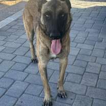 Thumbnail photo of Max #1