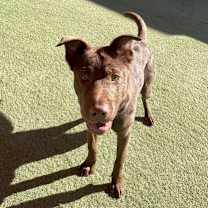 Thumbnail photo of Daisy Mae #2