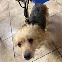 Thumbnail photo of Wall-E #1