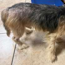 Thumbnail photo of Wall-E #3