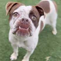 Thumbnail photo of Raven #4