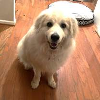 Thumbnail photo of Kya #2