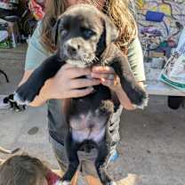 Thumbnail photo of Big Boy #3