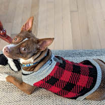 Thumbnail photo of Noreen #3