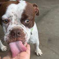 Thumbnail photo of Raven #3