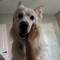 Thumbnail photo of Willow #4