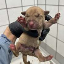 Thumbnail photo of 59877064 #1