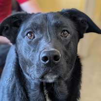 Thumbnail photo of Tonio #1