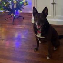 Thumbnail photo of Mika #2