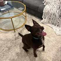 Thumbnail photo of Mika #3