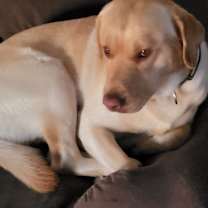 Thumbnail photo of Ka'ta'yo #3