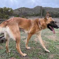 Thumbnail photo of Athena #2