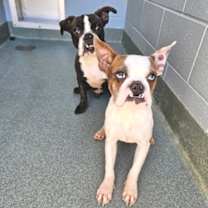 Thumbnail photo of Riley LG #2