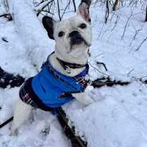 Thumbnail photo of Luna #1