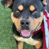 Thumbnail photo of Gentleman #1