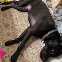 Thumbnail photo of Nyla #3