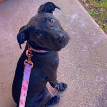 Thumbnail photo of Nyla #4