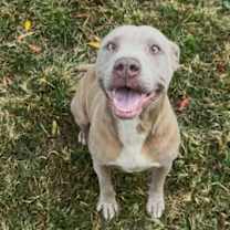 Thumbnail photo of Sula #4