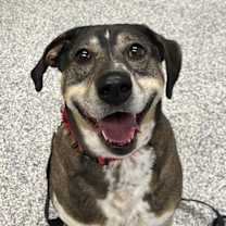 Thumbnail photo of Charlie #1