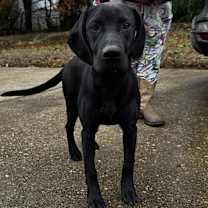 Thumbnail photo of Dale #1