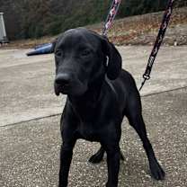 Thumbnail photo of Dale #3