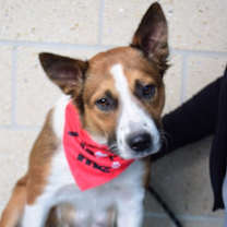 Thumbnail photo of 25-593D Bells #1