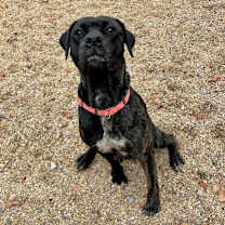 Thumbnail photo of Angel #2