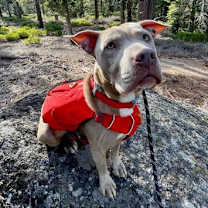 Thumbnail photo of Sula #1