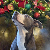 Thumbnail photo of Lil Cray PRECIOUS GIRL #2