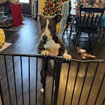 Thumbnail photo of Lil Cray PRECIOUS GIRL #4