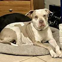 Thumbnail photo of PRETTY #1