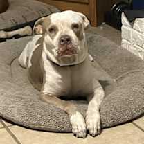 Thumbnail photo of PRETTY #2