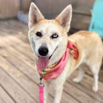 Thumbnail photo of Brianna #3