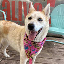 Thumbnail photo of Brianna #4