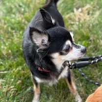 Thumbnail photo of Naomi #2