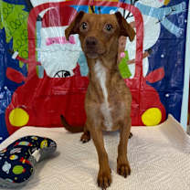 Thumbnail photo of Oscar #1