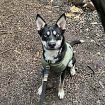 Thumbnail photo of Maverick #1