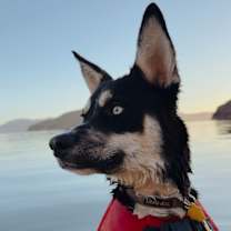 Thumbnail photo of Maverick #4