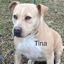 Thumbnail photo of Tina #1