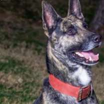 Thumbnail photo of Roman #1