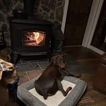 Thumbnail photo of Layla #1