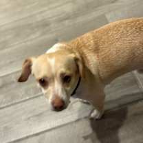 Thumbnail photo of Sprout #3