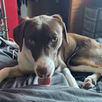 Thumbnail photo of Mocha #1