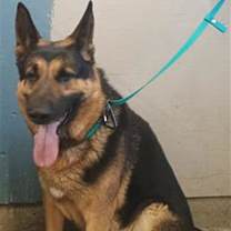 Thumbnail photo of *PIP #2